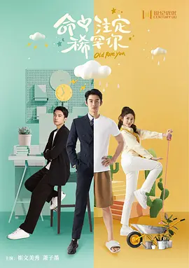 命中注定稀罕你